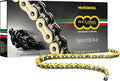 Regina Catena 520ZRP Gold 120 Maglie - Z-Ring Sportbike
